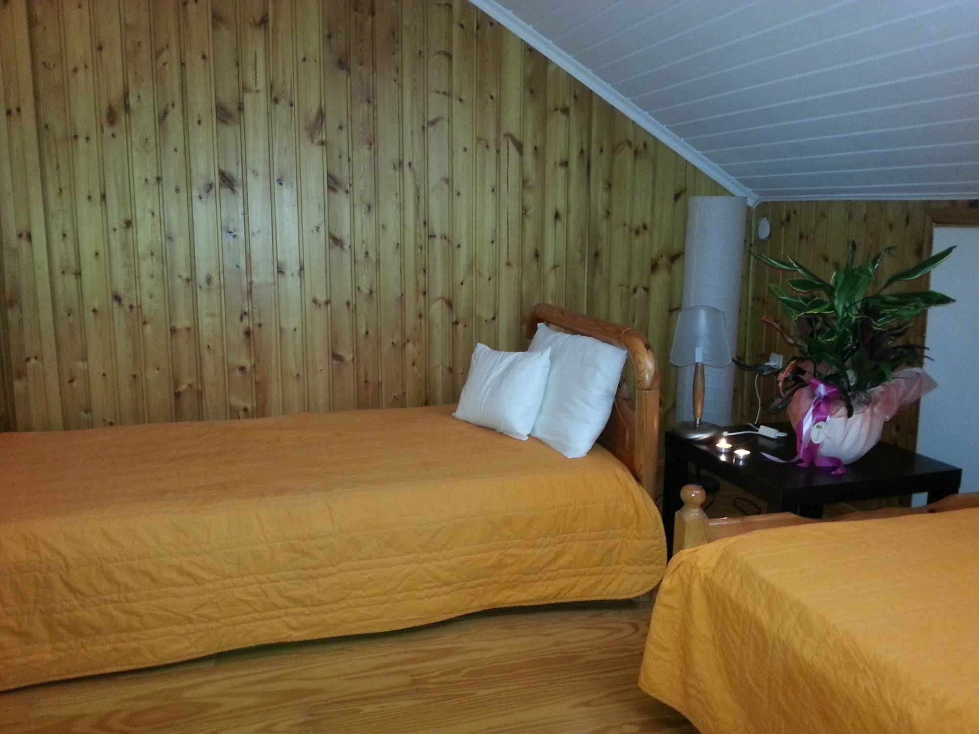 Lefkada Center Apartments Extérieur photo